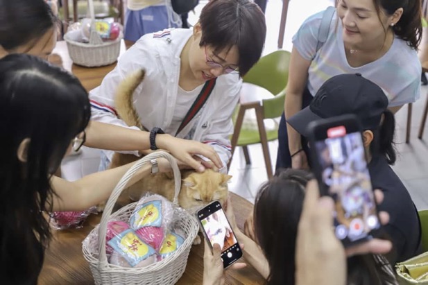 Photo Oct 05 2025, 09 18 39 (1)_617X411 Photo Oct 05 2025, 09 18 39 (1)_617X411