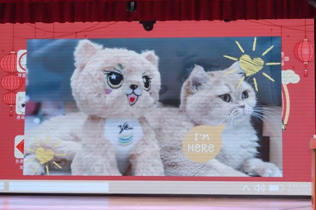 Photo Jan 10 2026, 11 28 57 (1) Photo Jan 10 2026, 11 28 57 (1)