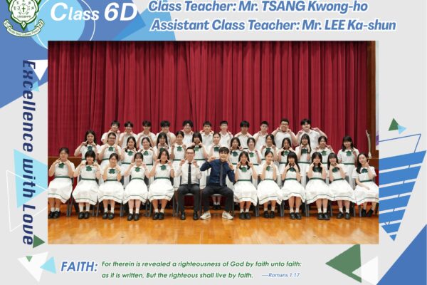 2627-S6D-2481×1754
